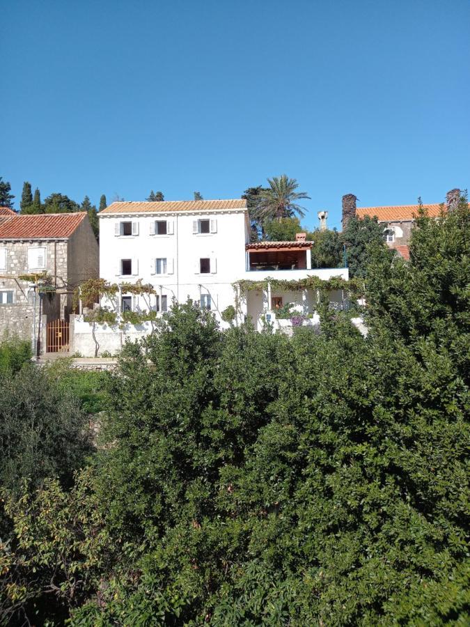 Villa Sea Dream Kolocep Gornje Celo Εξωτερικό φωτογραφία