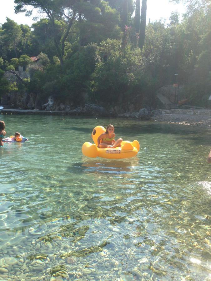 Villa Sea Dream Kolocep Gornje Celo Εξωτερικό φωτογραφία