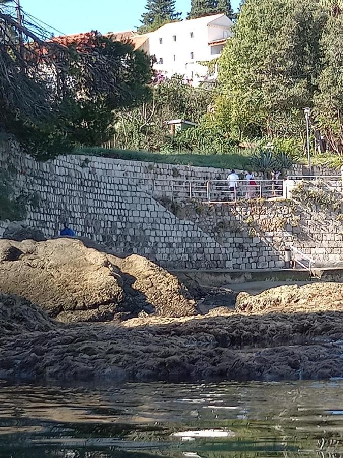 Villa Sea Dream Kolocep Gornje Celo Εξωτερικό φωτογραφία