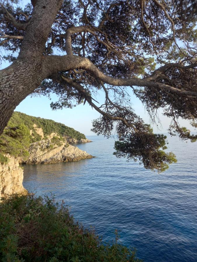 Villa Sea Dream Kolocep Gornje Celo Εξωτερικό φωτογραφία