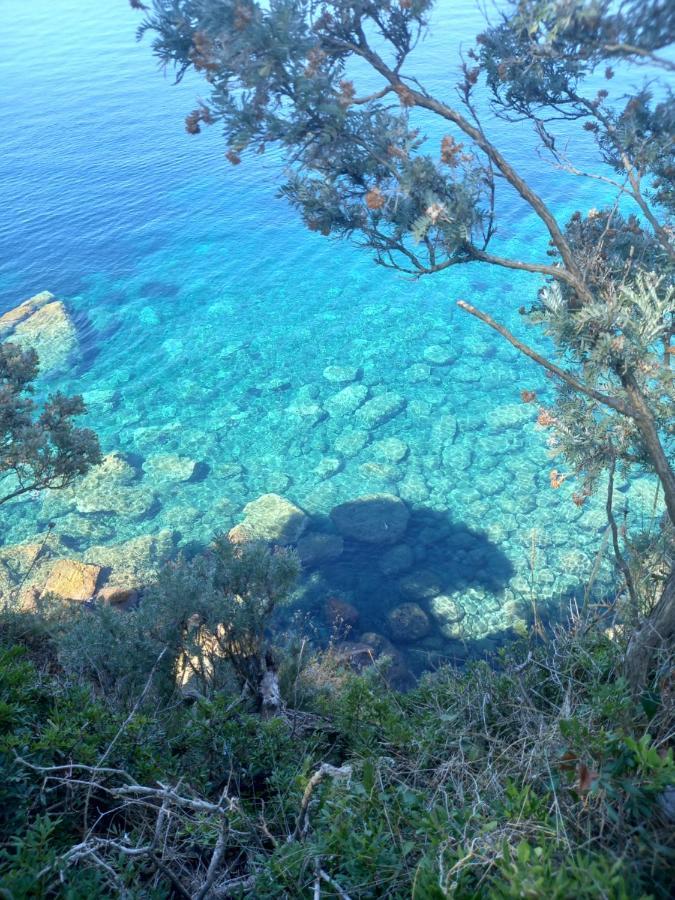 Villa Sea Dream Kolocep Gornje Celo Εξωτερικό φωτογραφία