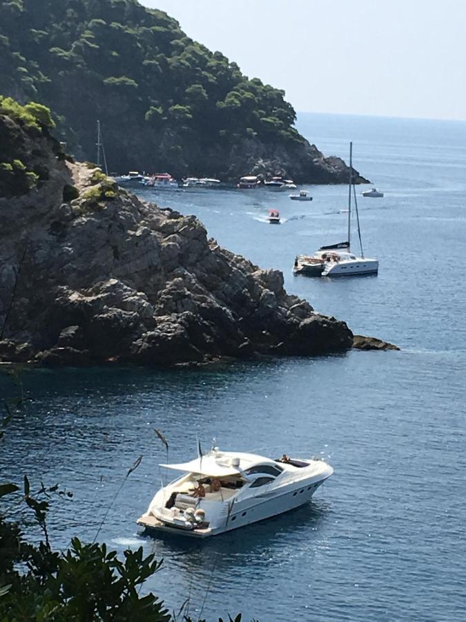 Villa Sea Dream Kolocep Gornje Celo Εξωτερικό φωτογραφία