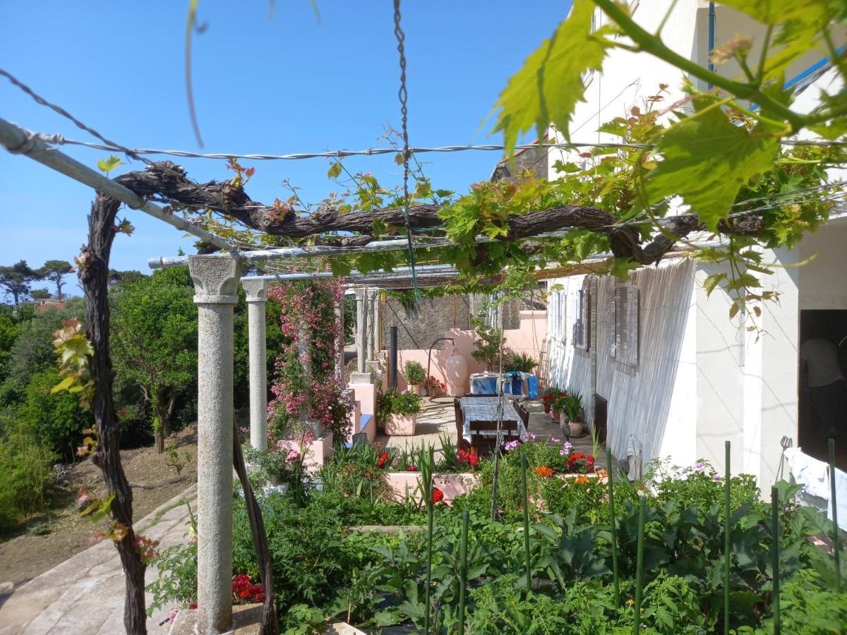 Villa Sea Dream Kolocep Gornje Celo Εξωτερικό φωτογραφία