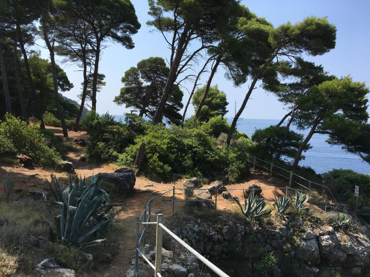 Villa Sea Dream Kolocep Gornje Celo Εξωτερικό φωτογραφία