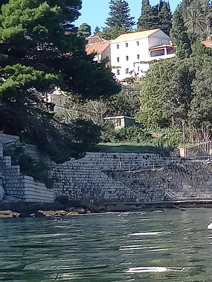 Villa Sea Dream Kolocep Gornje Celo Εξωτερικό φωτογραφία