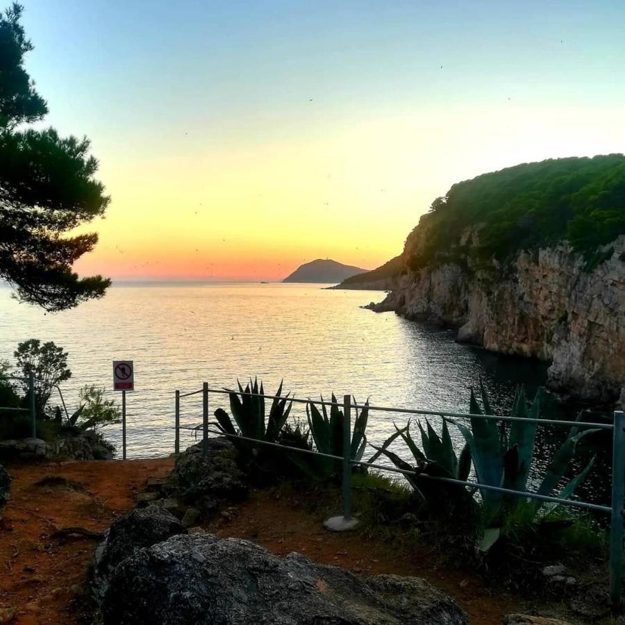 Villa Sea Dream Kolocep Gornje Celo Εξωτερικό φωτογραφία